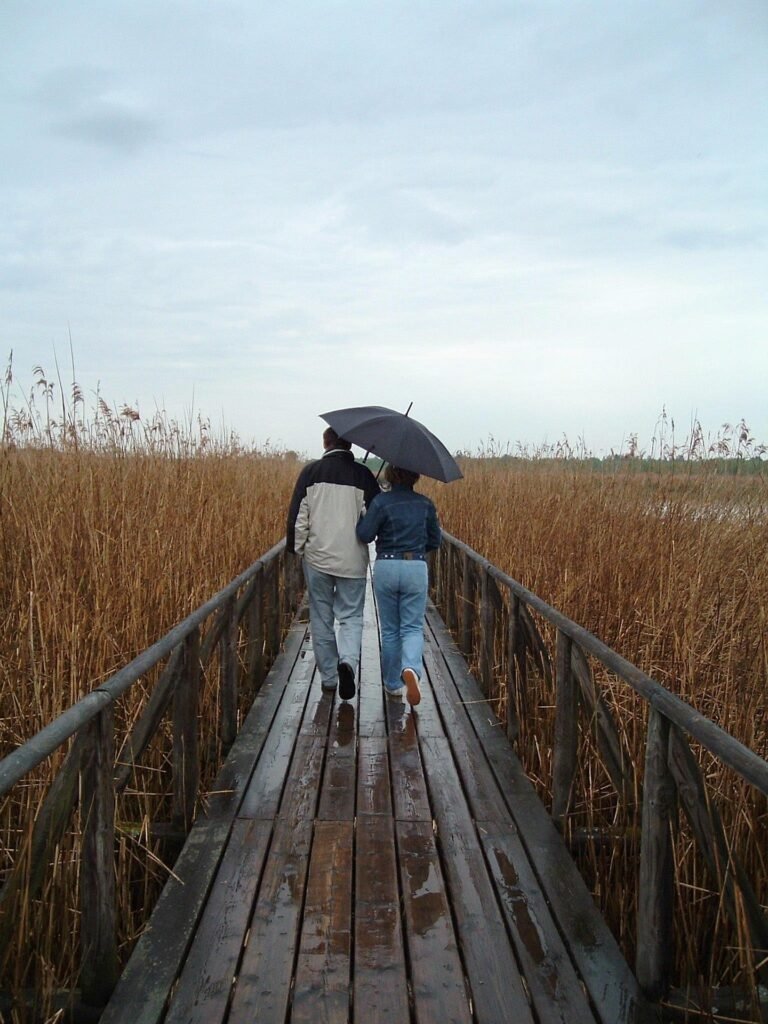 par i regn